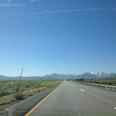 , Wildlife Collisions on I‑95